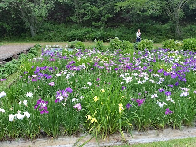 Niihama Country Club - Photo 5