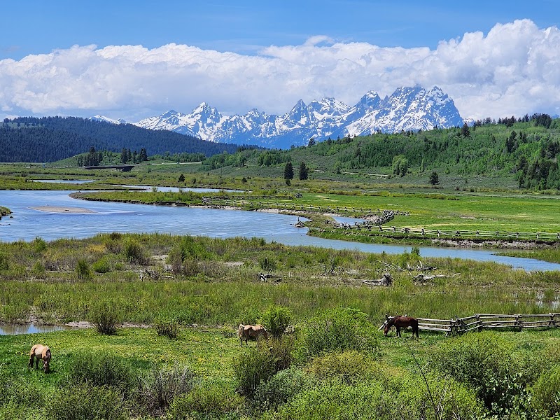 Heart Six Ranch - Photo 3