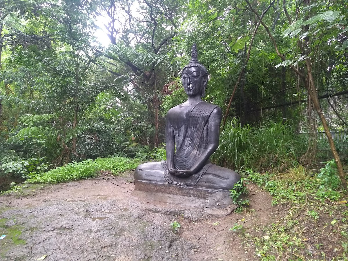 OSHO International Meditation Resort — 3