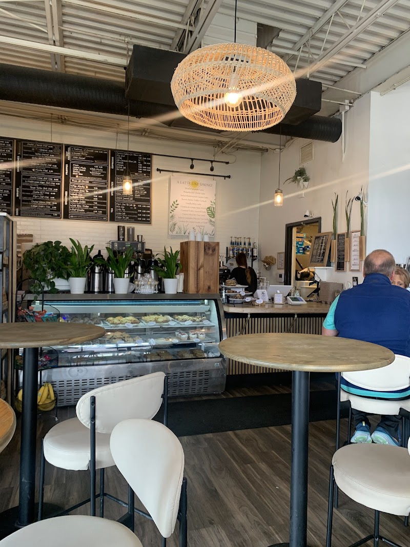 Mojo's Coffee and More photo 4