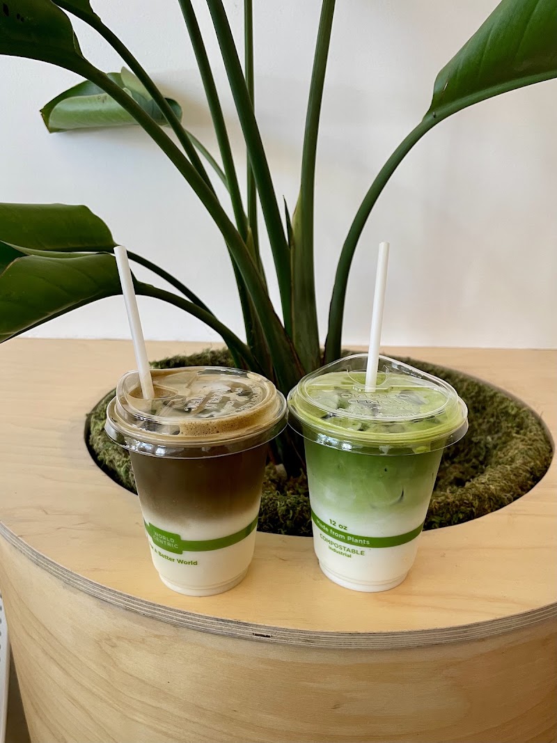Mind Coffee photo 4