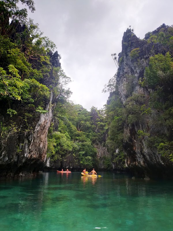 Foto por Aleta Amarilla