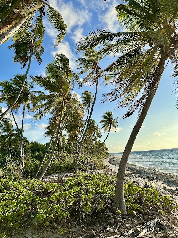 Foto por Antonio Rodríguez Toro