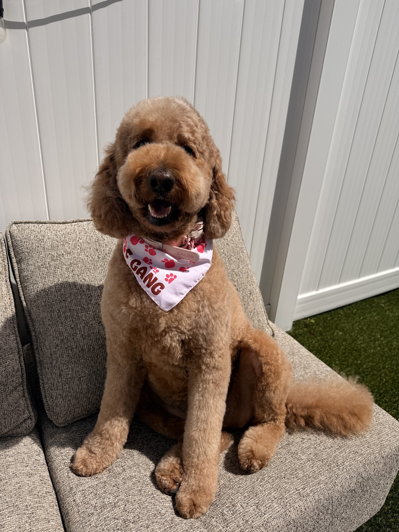 Woof Gang Bakery & Grooming Deerfield Beach office