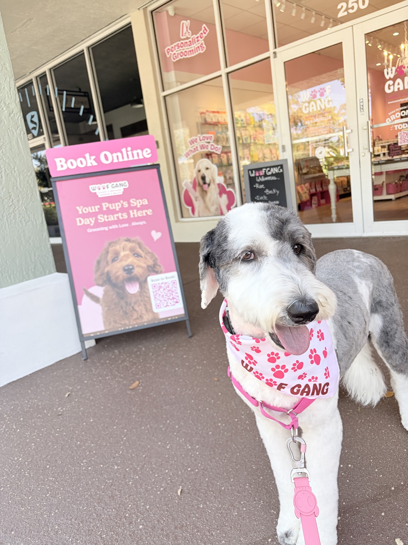 Woof Gang Bakery & Grooming Deerfield Beach workspace