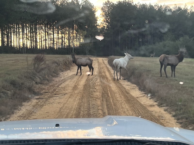 Magnolia Ranch Hunting Preserve - Photo 4