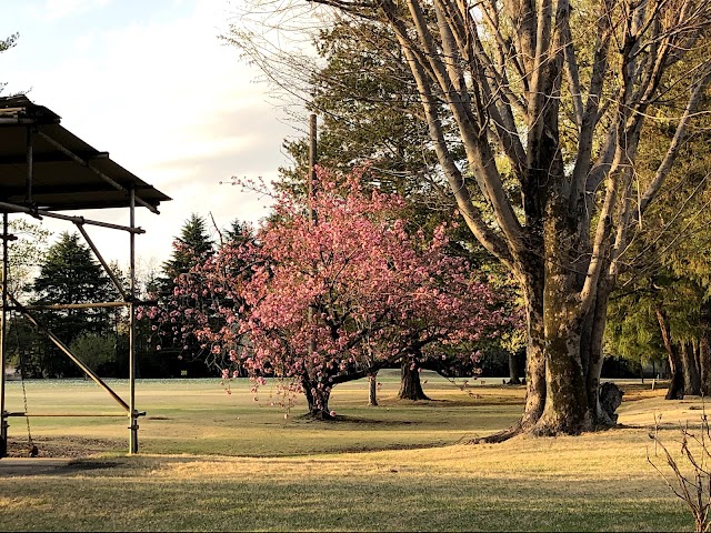 Hanamigaoka Golf Center - Photo 8