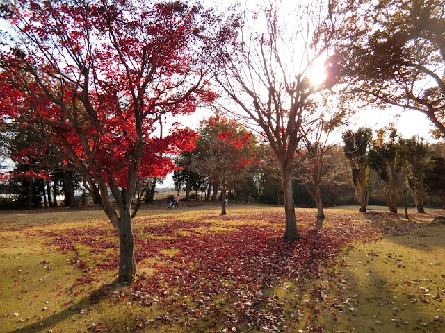 Hanamigaoka Golf Center - Photo 10
