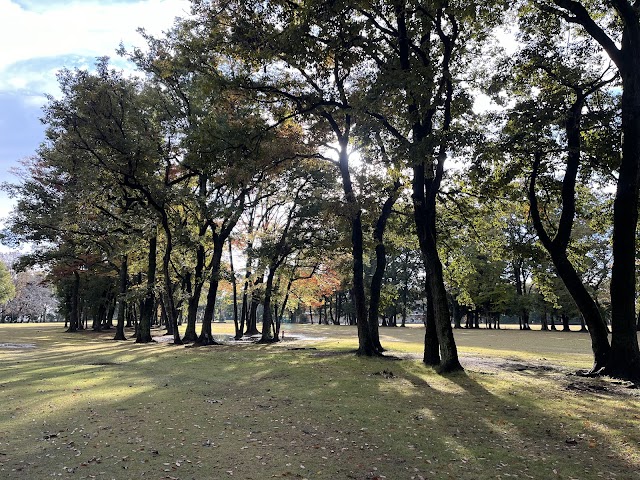 Hanamigaoka Golf Center - Photo 6