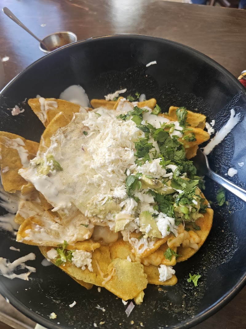 Suculenta Lunch/Cafe photo 4