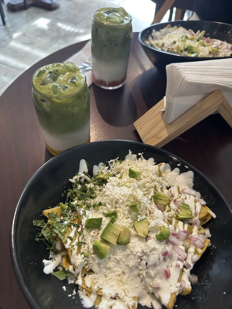 Suculenta Lunch/Cafe photo 3