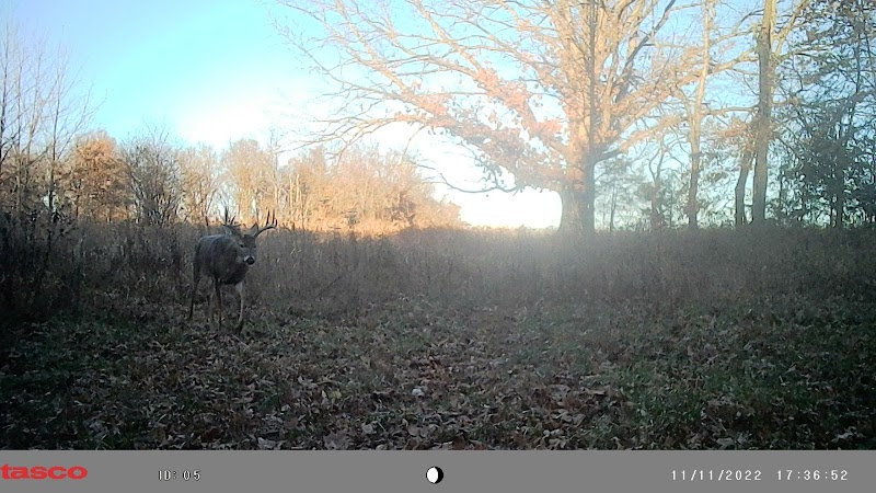 Big H Hunts - Photo 6