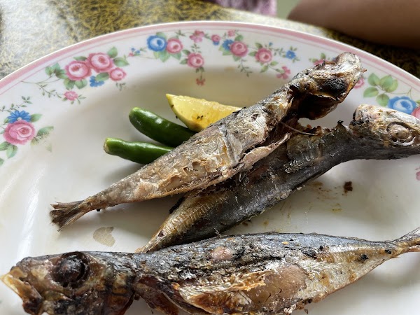 Kak Moh Nasi Ikan Bekok - Photo 1