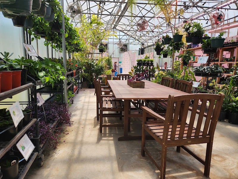 50 East Garden Center & Café photo 3