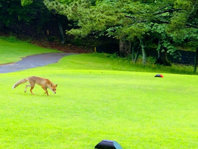 Nishi Nihon Country Club - Photo 10