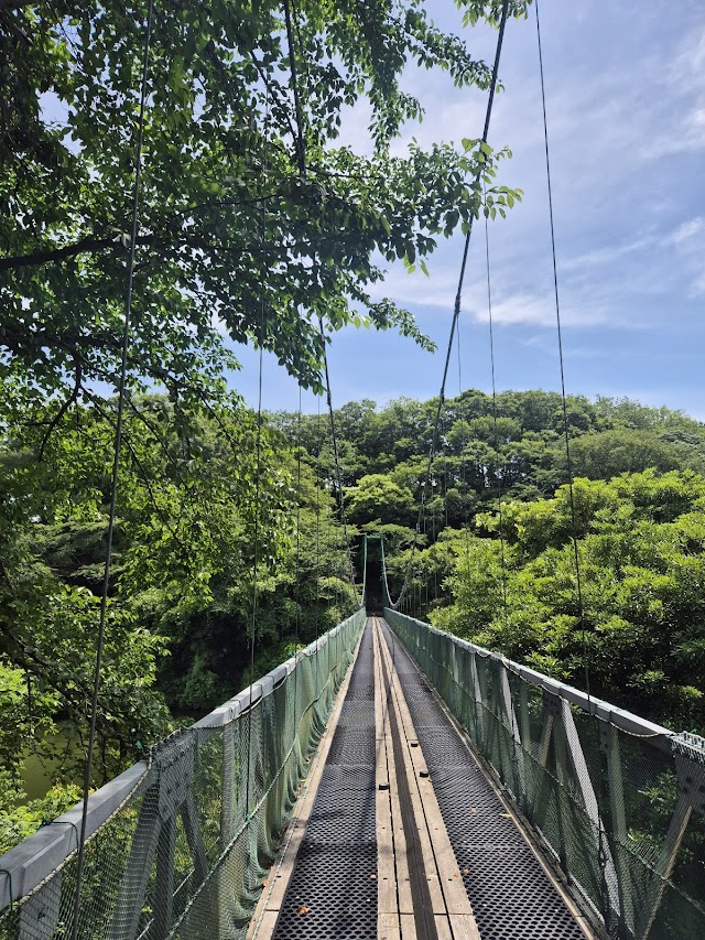 Nishi Nihon Country Club - Photo 8