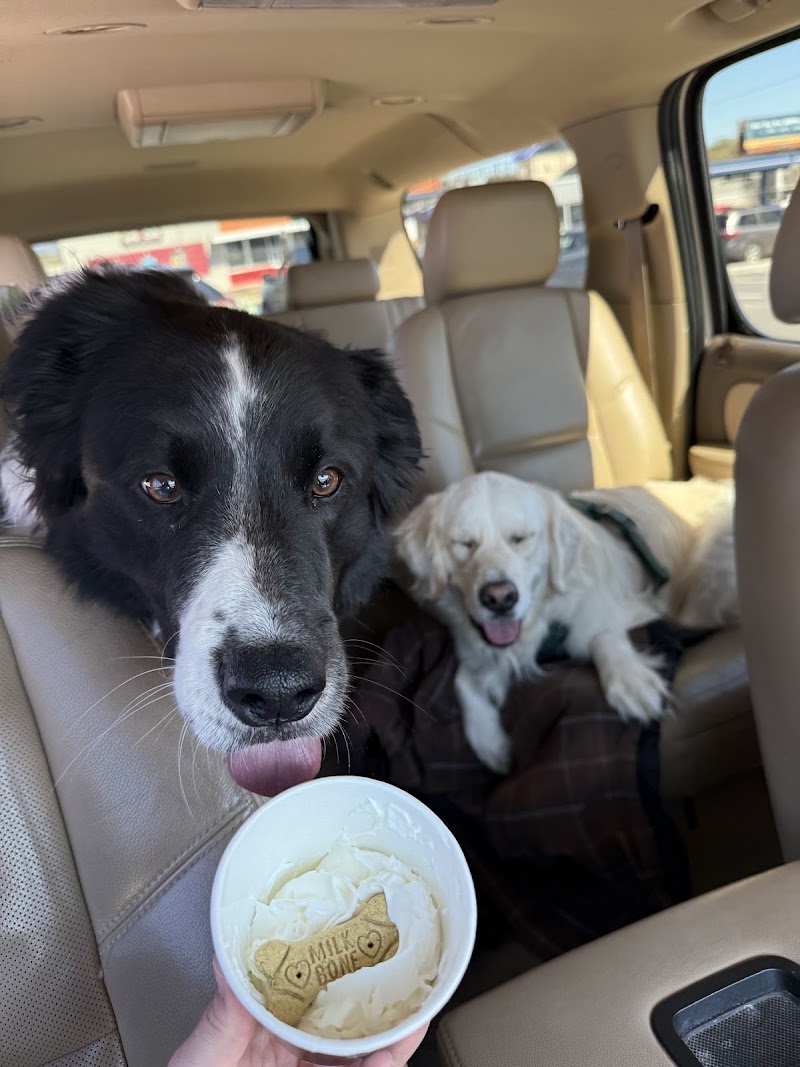 7 Brew Coffee photo 4