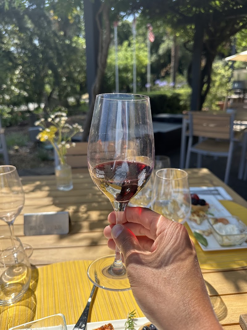 Terrace tasting area with vineyard views