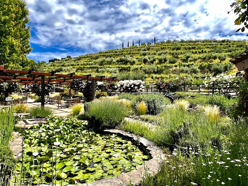 Scenic Sonoma Mountain property with wildlife