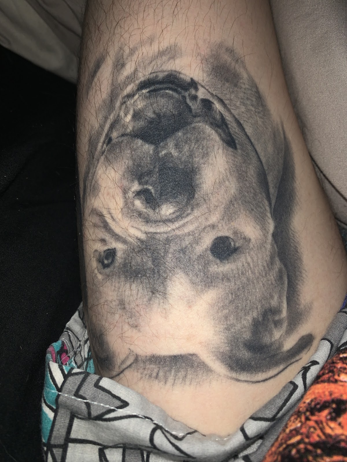 Olde Oak Studio tattoo work — photo 3