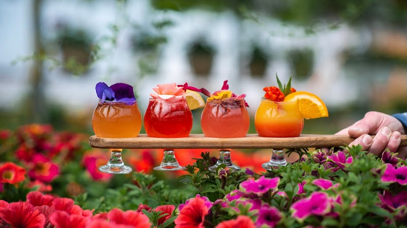 Crazy Daisies Flowers & Garden Cafe photo 2