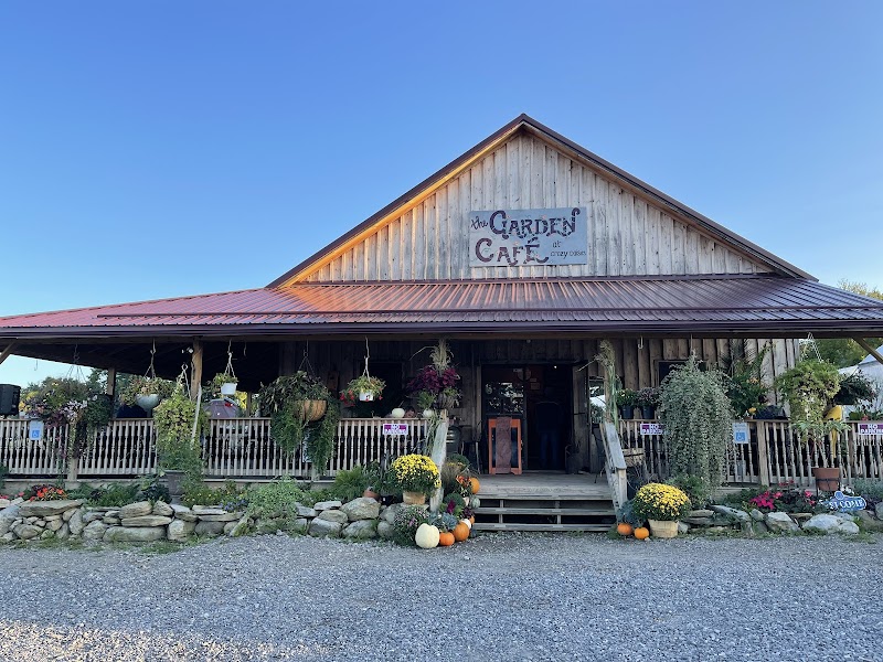 Crazy Daisies Flowers & Garden Cafe photo 1