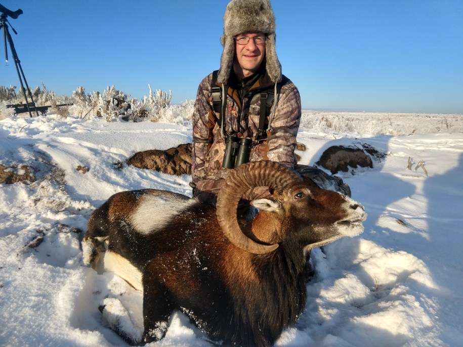 European Wild Boar Hunt