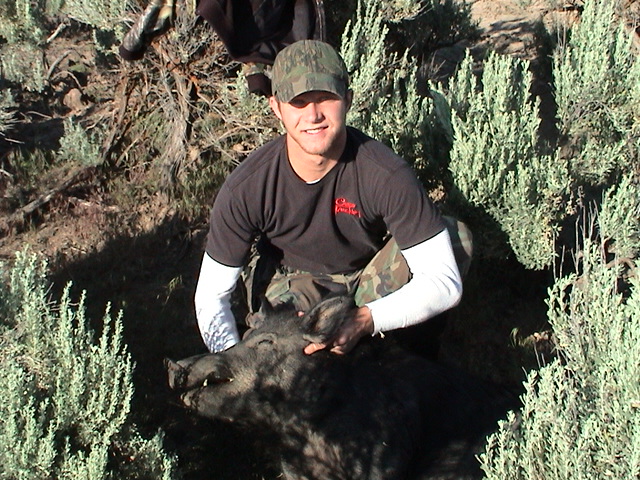 European Wild Boar Hunt - Photo 4