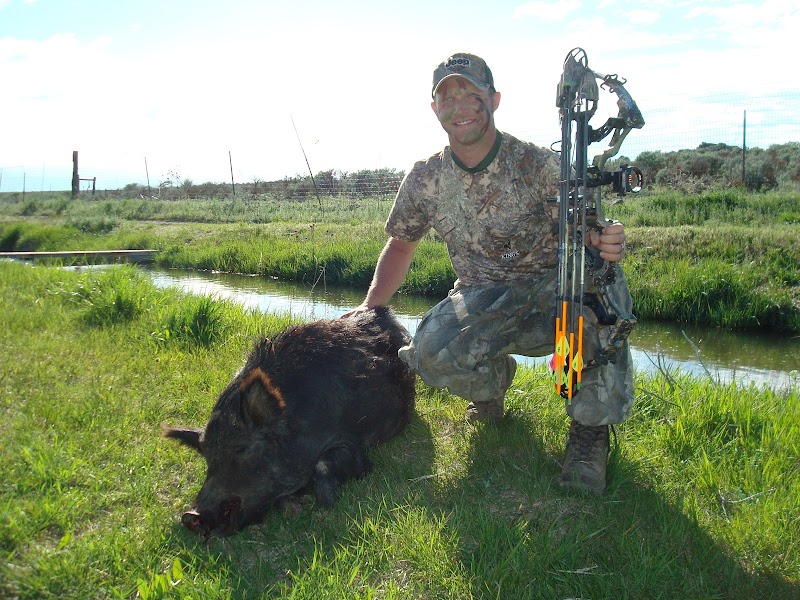 European Wild Boar Hunt - Photo 6