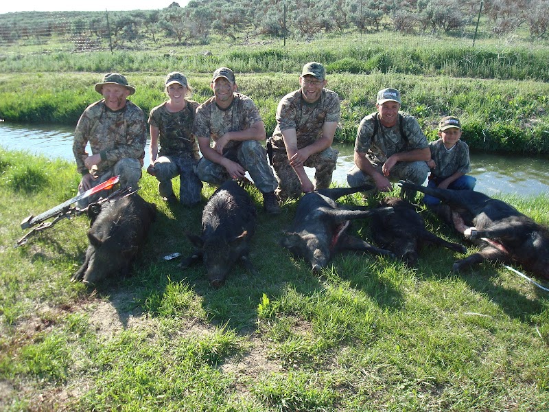 European Wild Boar Hunt - Photo 3