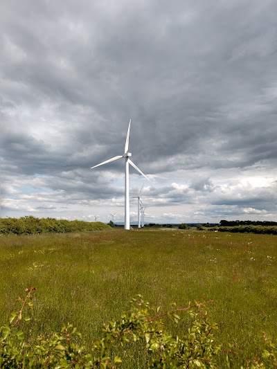 Watchtree Nature Reserve