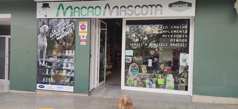 Macromascota