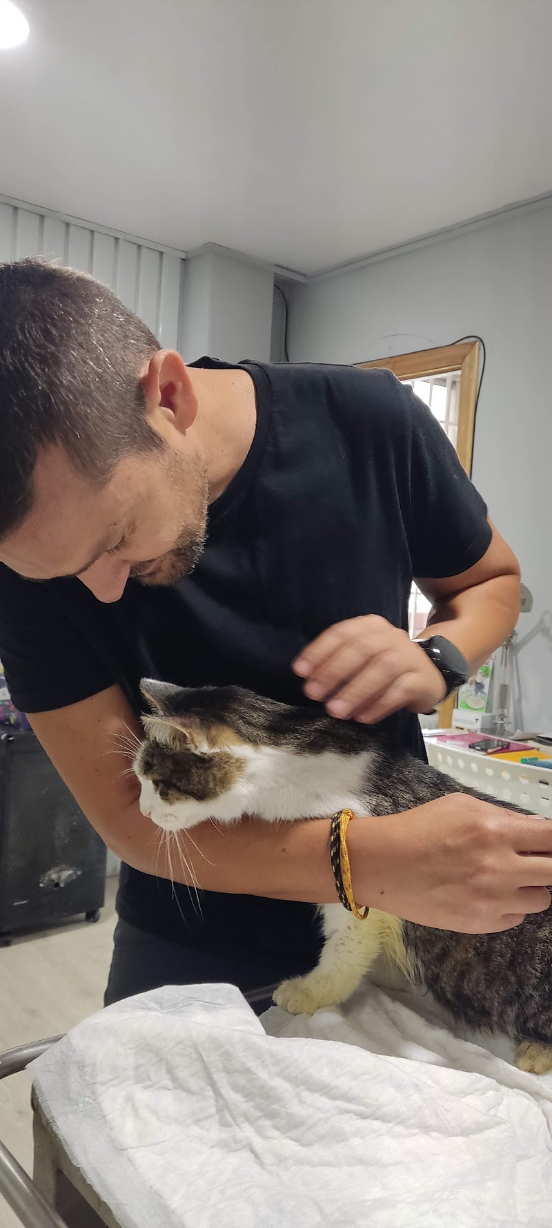 Clínica Veterinaria Celavet