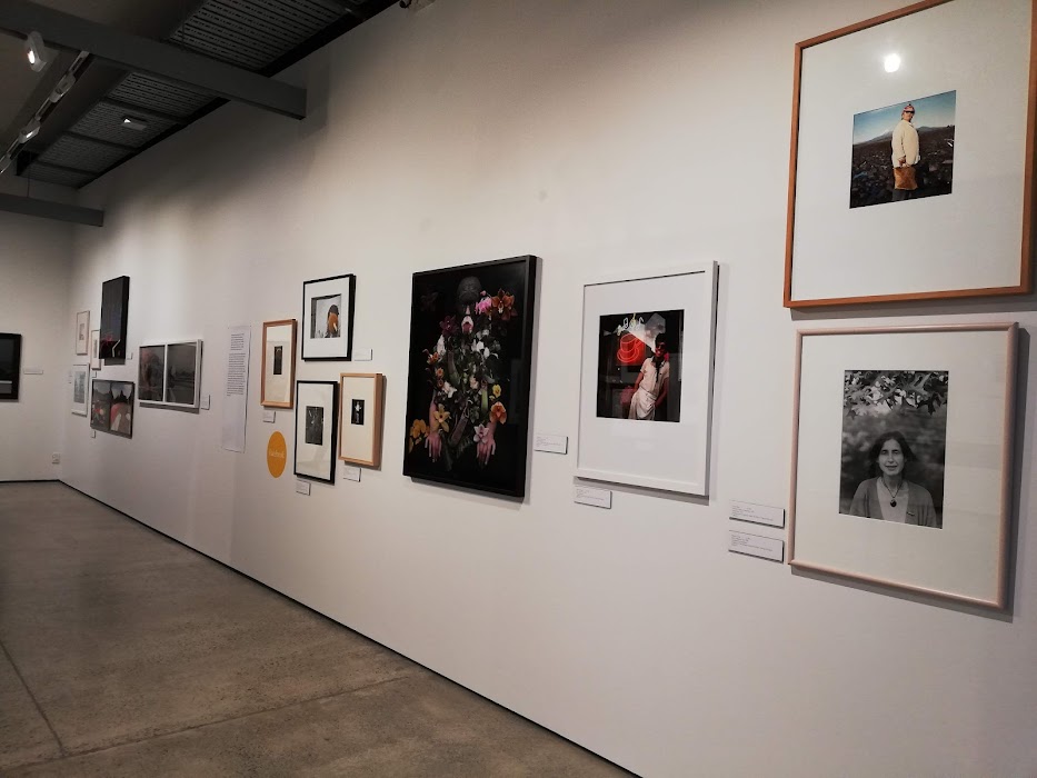 Pataka Art + Museum fotoğraf 1
