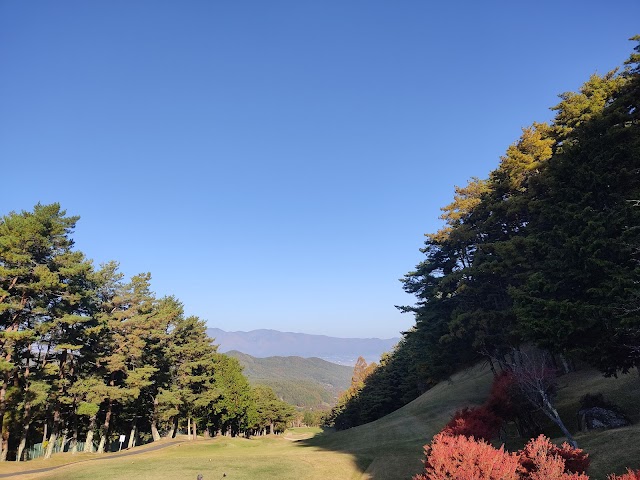 Ina Ace Country Club - Photo 1