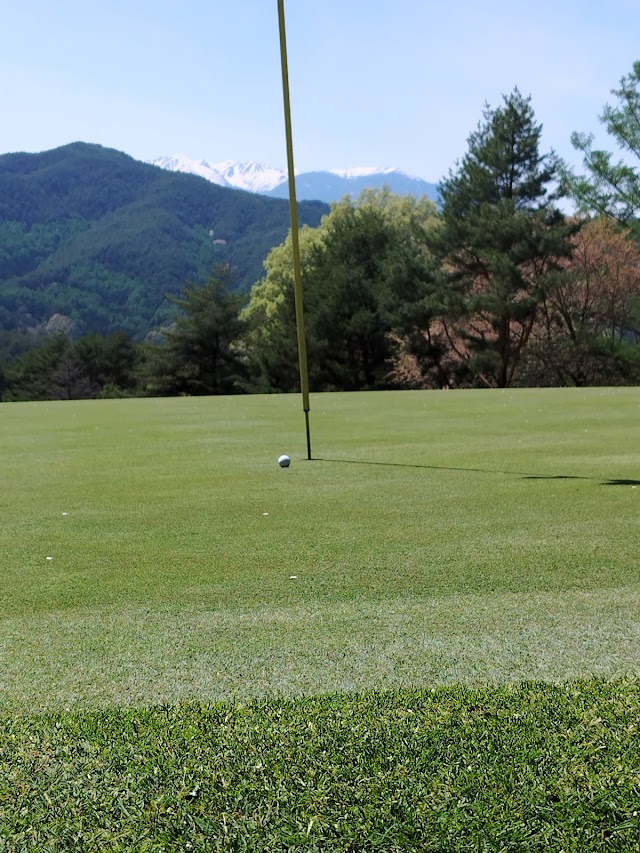 Ina Ace Country Club - Photo 5