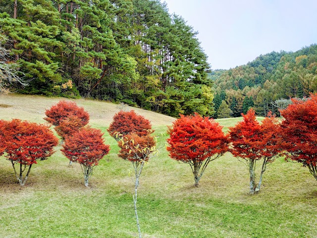 Ina Ace Country Club - Photo 7