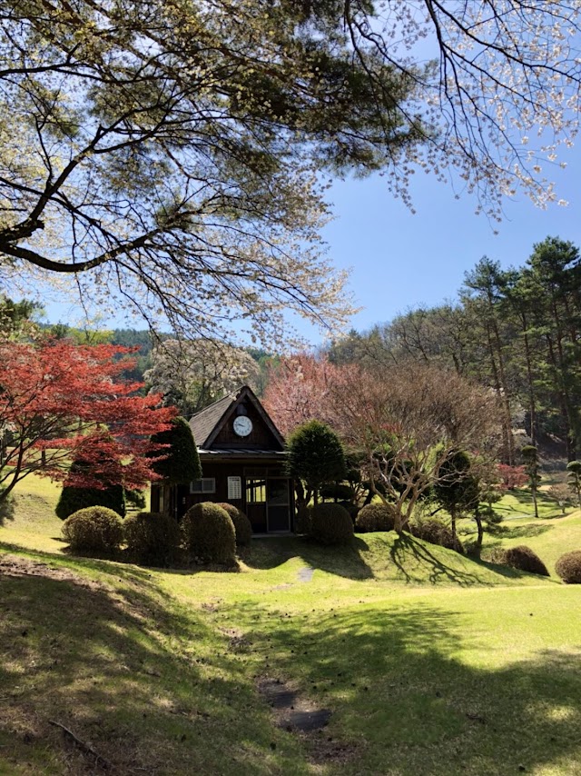 Ina Ace Country Club - Photo 4