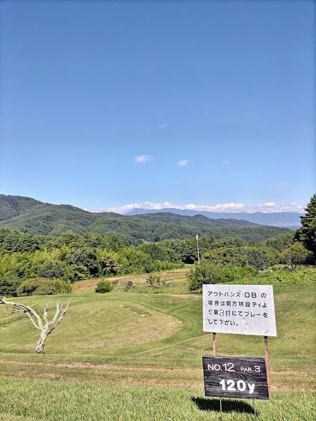 Ina Ace Country Club - Photo 3