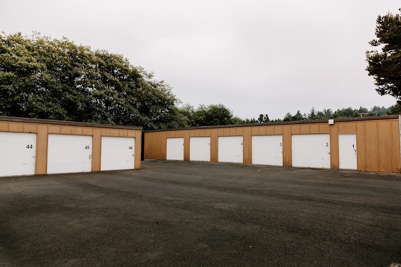Jax Tactical Pnw photo