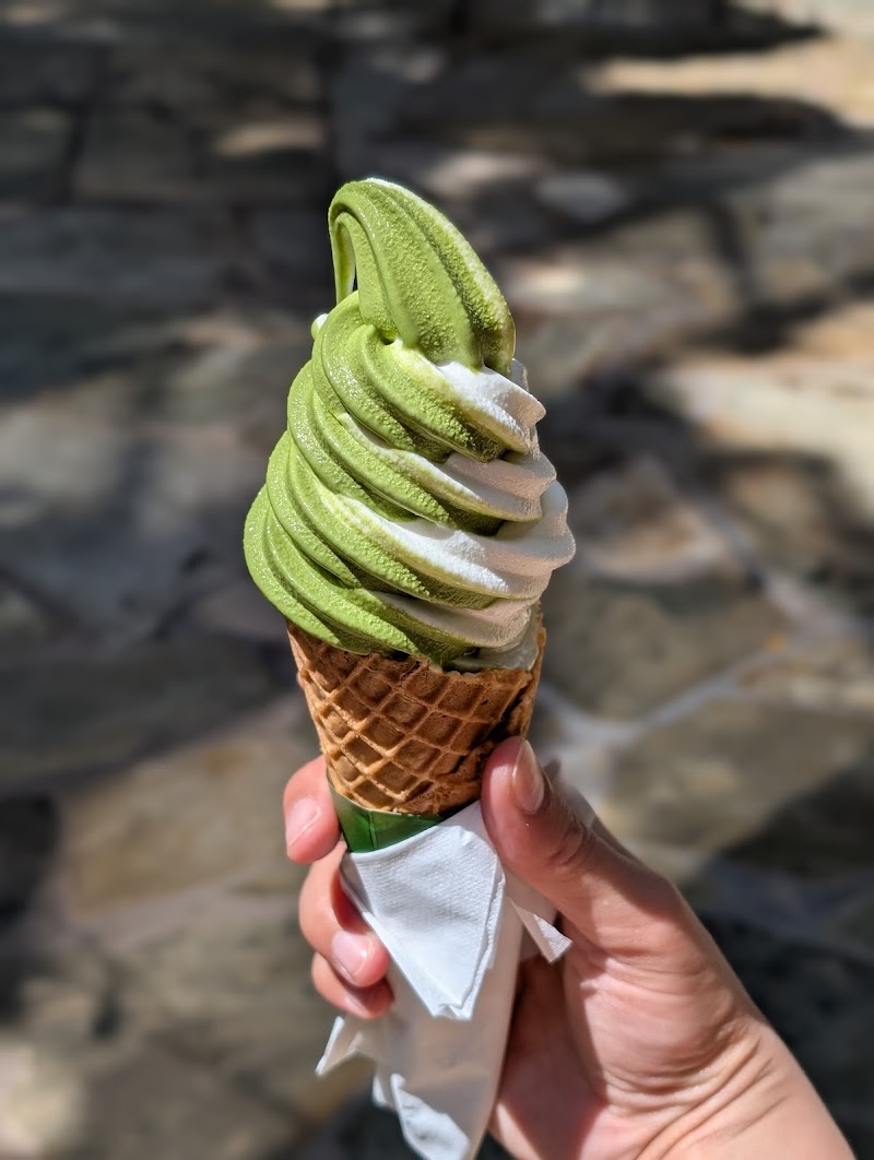 MATCHA Stand MAIKO photo 3