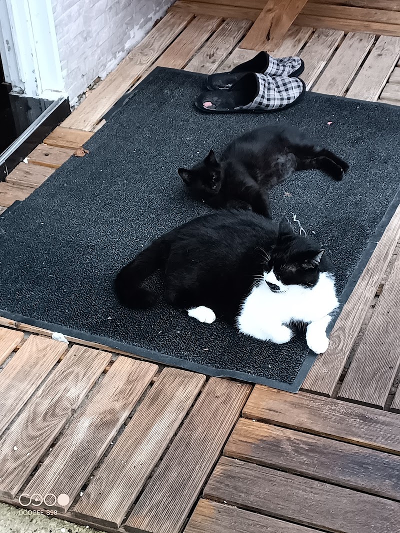 Clínica Veterinaria Argüelles