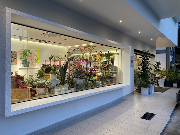 Mori Kohi - Jalan Aman (HQ) - Photo 1