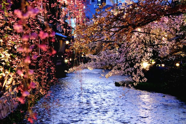 Shirakawa Canal