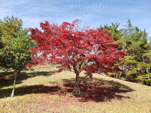 Rio Fujiwara Country Club - Photo 3