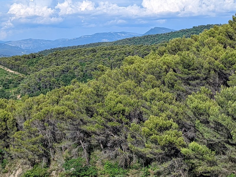 Clinique de Pneumologie Les Rieux