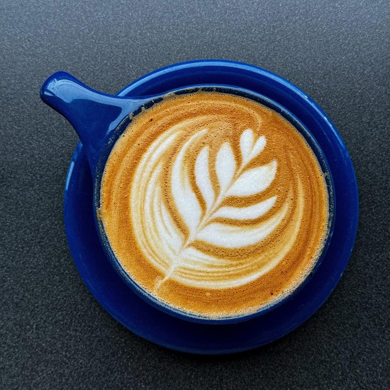 Blue Moose Coffeehouse photo 2