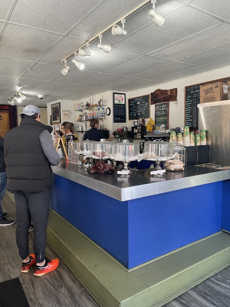 Blue Moose Coffeehouse photo 4