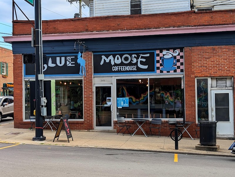 Blue Moose Coffeehouse photo 1