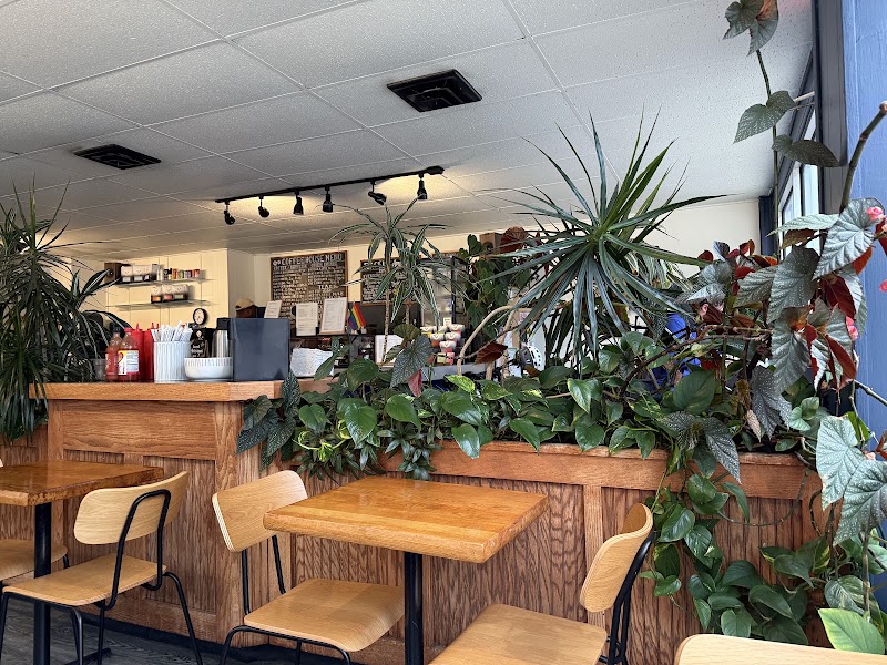 Blue Moose Coffeehouse photo 3